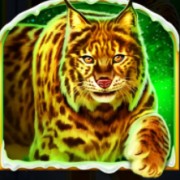 Символ Тигр в Файр Блейз Голден: Волк Тундры